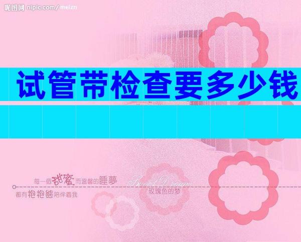 试管带检查要多少钱