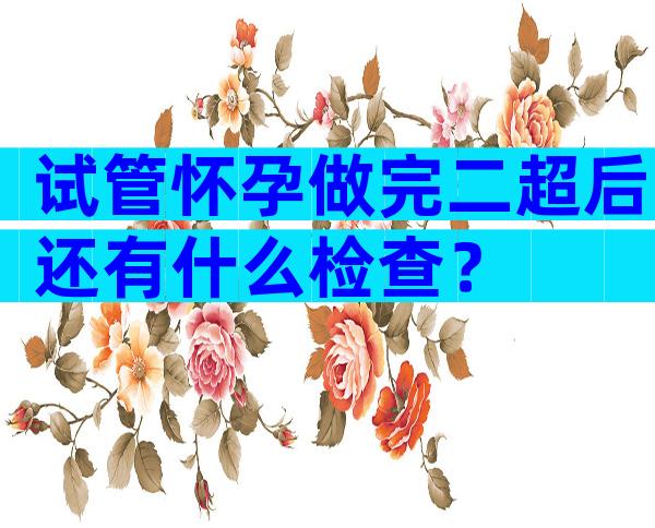 试管怀孕做完二超后还有什么检查？