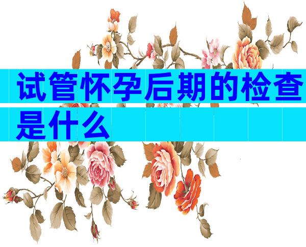 试管怀孕后期的检查是什么
