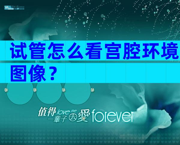 试管怎么看宫腔环境图像？