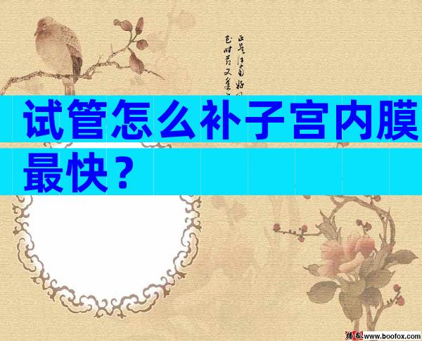 试管怎么补子宫内膜最快？