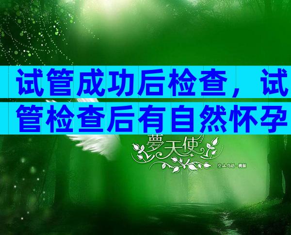 试管成功后检查，试管检查后有自然怀孕吗