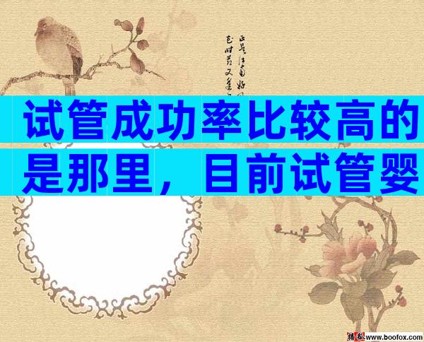 试管成功率比较高的是那里，目前试管婴儿成功率比较好的医院是哪家？