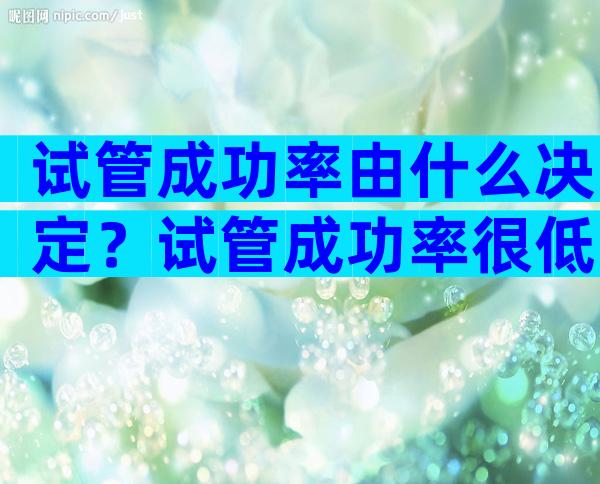 试管成功率由什么决定？试管成功率很低吗？