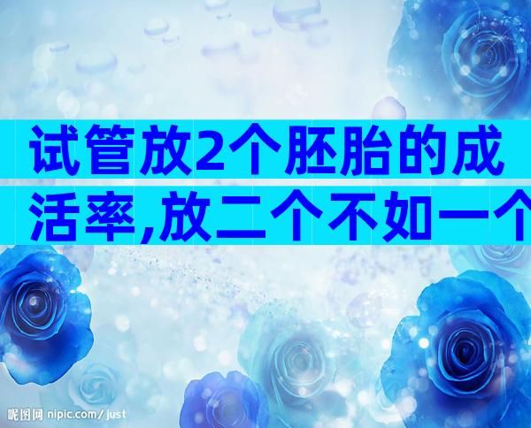 试管放2个胚胎的成活率,放二个不如一个别不信