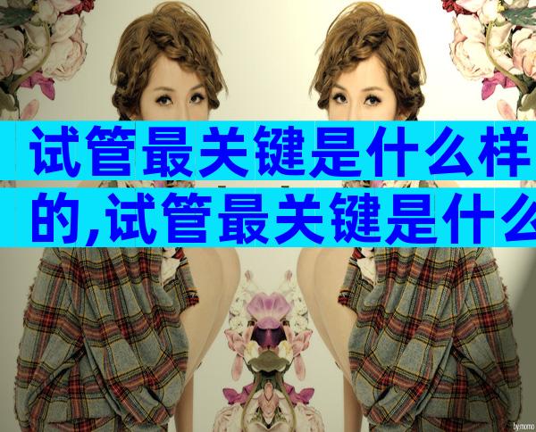 试管最关键是什么样的,试管最关键是什么样的胚胎
