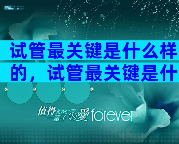 试管最关键是什么样的，试管最关键是什么样的胚胎