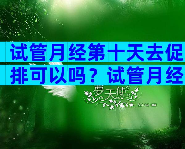 试管月经第十天去促排可以吗？试管月经第十天去促排可以吗？
