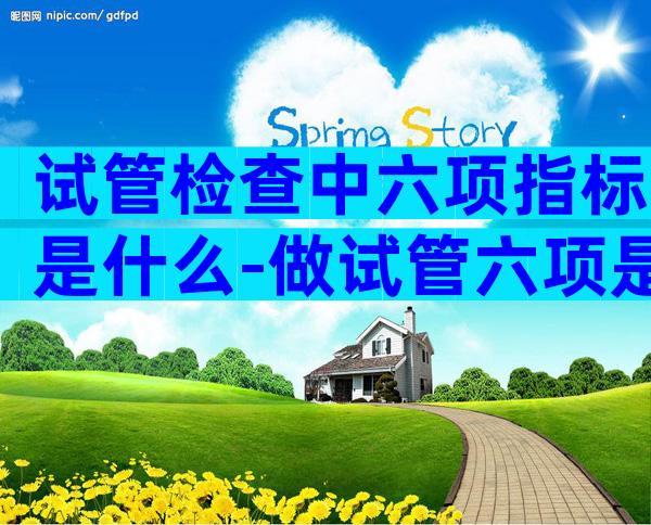 试管检查中六项指标是什么-做试管六项是什么