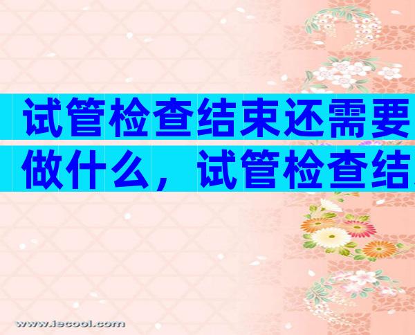 试管检查结束还需要做什么，试管检查结束还需要做什么检查