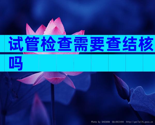 试管检查需要查结核吗