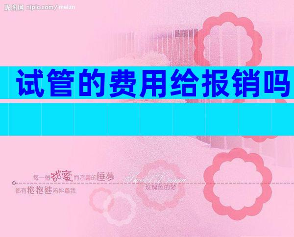 试管的费用给报销吗