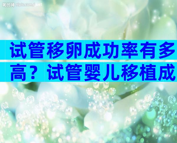 试管移卵成功率有多高？试管婴儿移植成功率是多少？