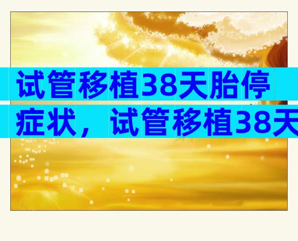试管移植38天胎停症状，试管移植38天会有啥症状