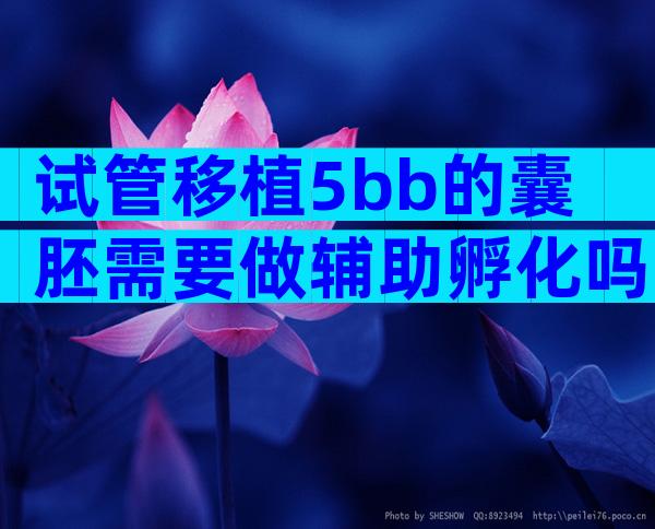 试管移植5bb的囊胚需要做辅助孵化吗？