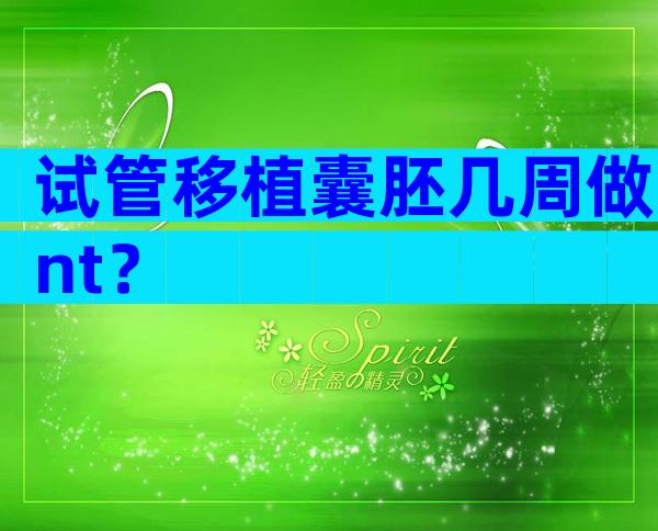试管移植囊胚几周做nt？