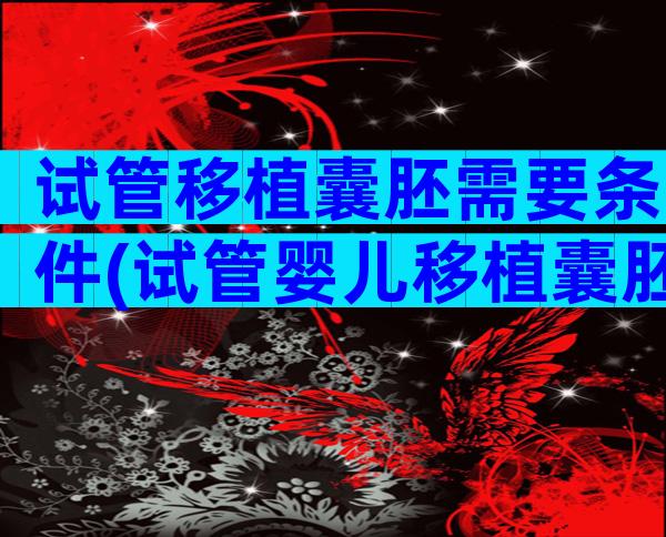 试管移植囊胚需要条件(试管婴儿移植囊胚流程)