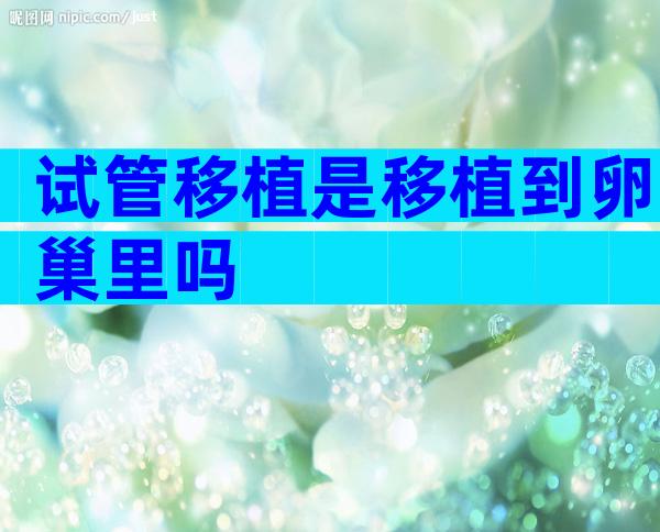 试管移植是移植到卵巢里吗