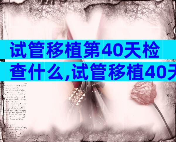 试管移植第40天检查什么,试管移植40天检查什么项目