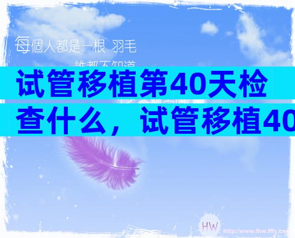 试管移植第40天检查什么，试管移植40天检查什么项目