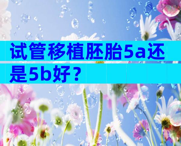 试管移植胚胎5a还是5b好？