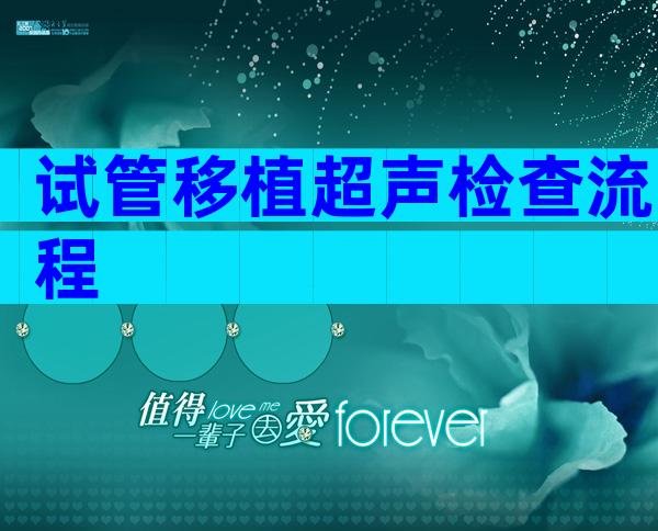 试管移植超声检查流程