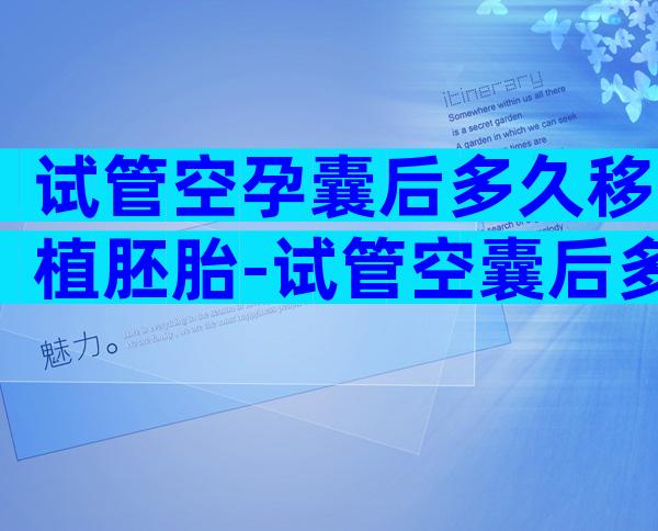 试管空孕囊后多久移植胚胎-试管空囊后多久可以再移植