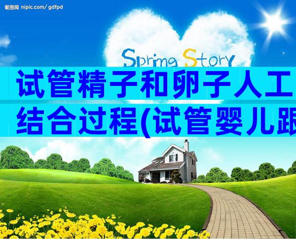 试管精子和卵子人工结合过程(试管婴儿跟人工受精)