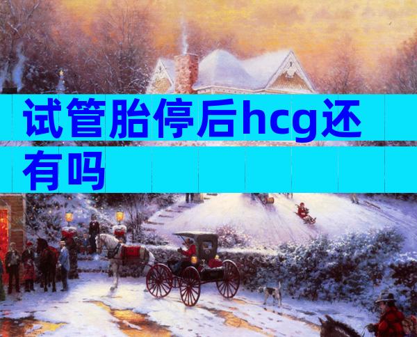 试管胎停后hcg还有吗