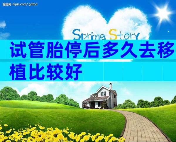 试管胎停后多久去移植比较好