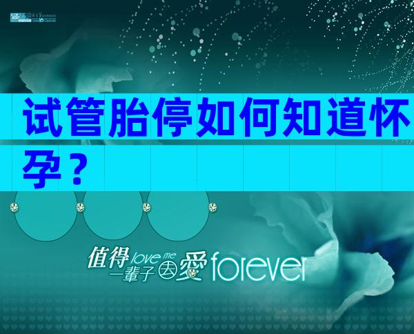 试管胎停如何知道怀孕？