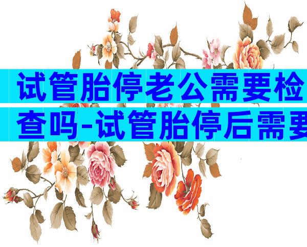试管胎停老公需要检查吗-试管胎停后需要做什么检查