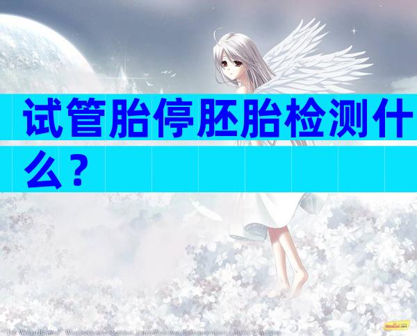 试管胎停胚胎检测什么？