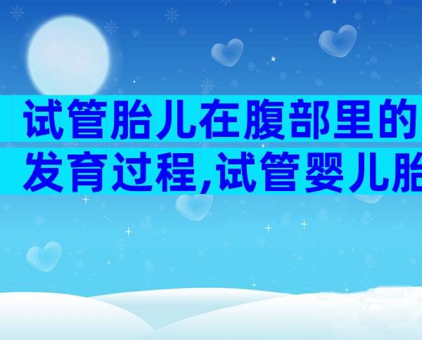 试管胎儿在腹部里的发育过程,试管婴儿胎儿在哪里发育
