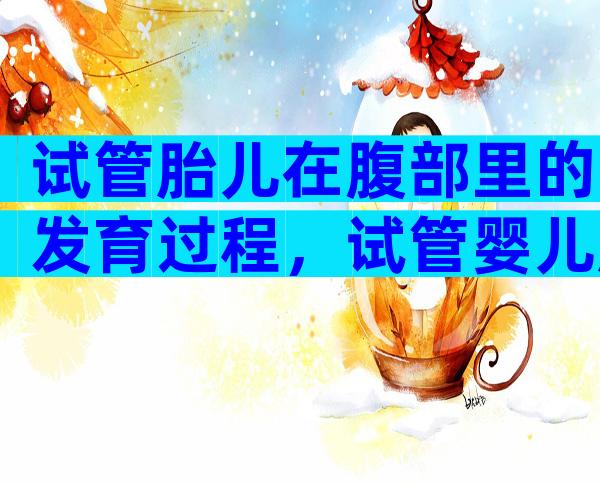 试管胎儿在腹部里的发育过程，试管婴儿胎儿在哪里发育