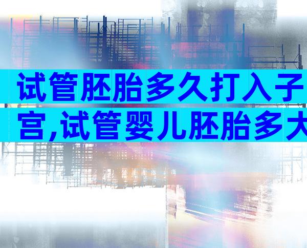 试管胚胎多久打入子宫,试管婴儿胚胎多大时植入子宫