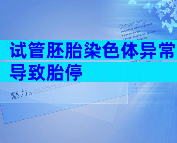试管胚胎染色体异常导致胎停
