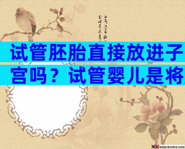 试管胚胎直接放进子宫吗？试管婴儿是将胚胎放到宫腔吗？