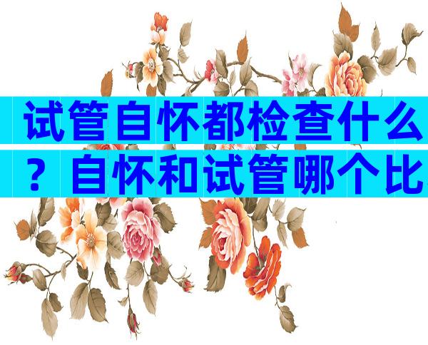 试管自怀都检查什么？自怀和试管哪个比较容易胎停？