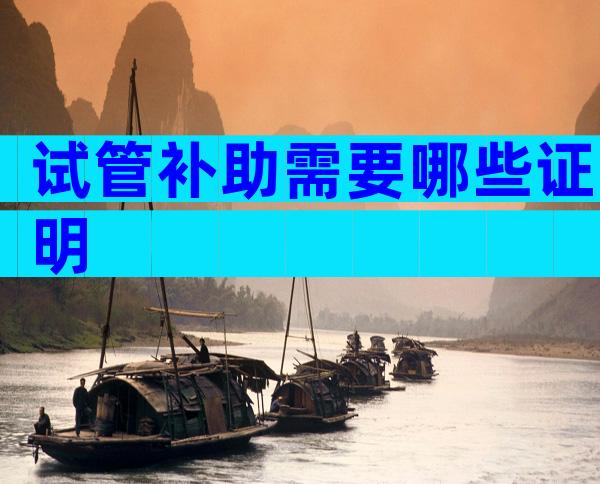 试管补助需要哪些证明