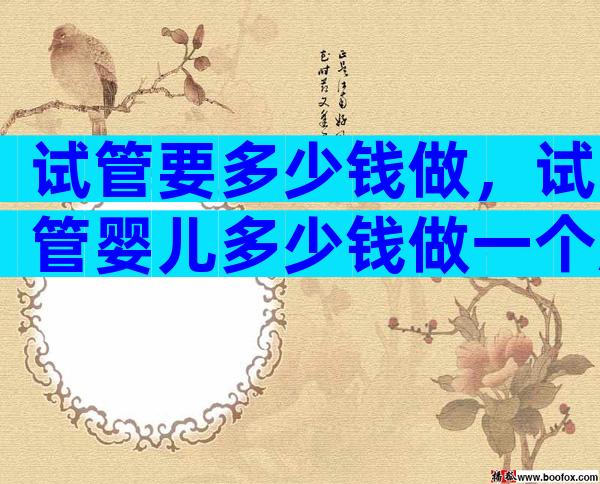 试管要多少钱做，试管婴儿多少钱做一个胚胎检查