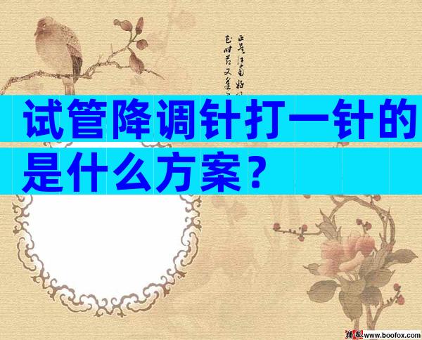 试管降调针打一针的是什么方案？