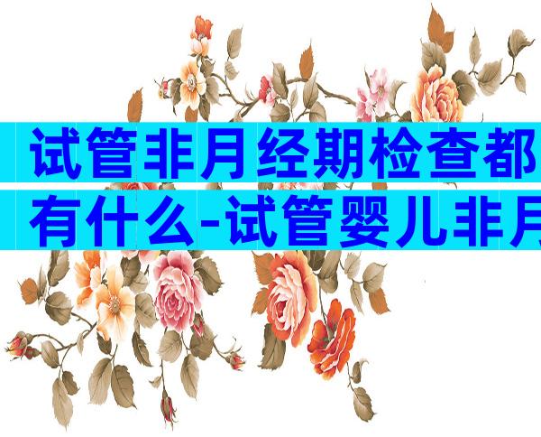 试管非月经期检查都有什么-试管婴儿非月经期检查哪儿些