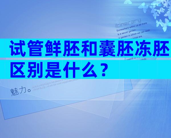 试管鲜胚和囊胚冻胚区别是什么？