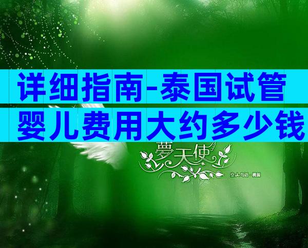详细指南-泰国试管婴儿费用大约多少钱？具体有哪些优势？