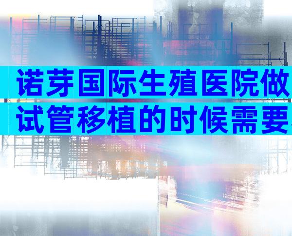 诺芽国际生殖医院做试管移植的时候需要老公到场签字吗？