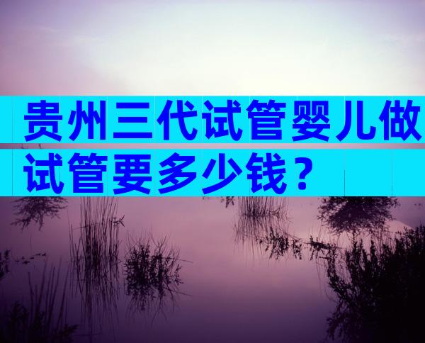 贵州三代试管婴儿做试管要多少钱？