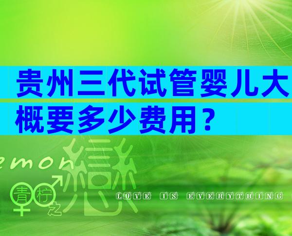 贵州三代试管婴儿大概要多少费用？