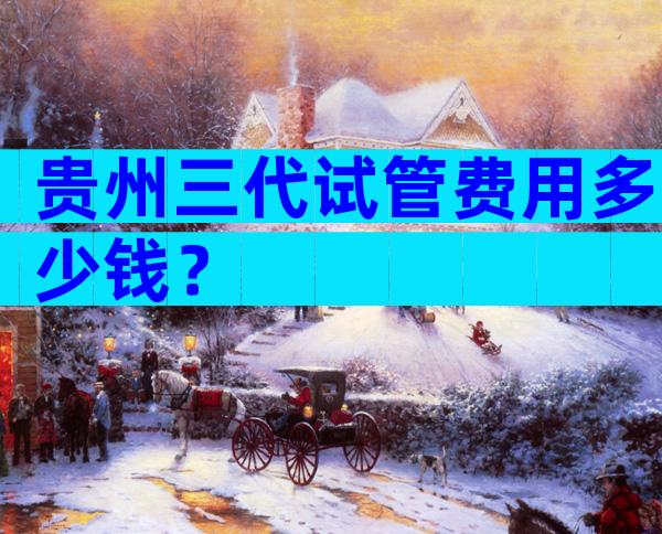 贵州三代试管费用多少钱？