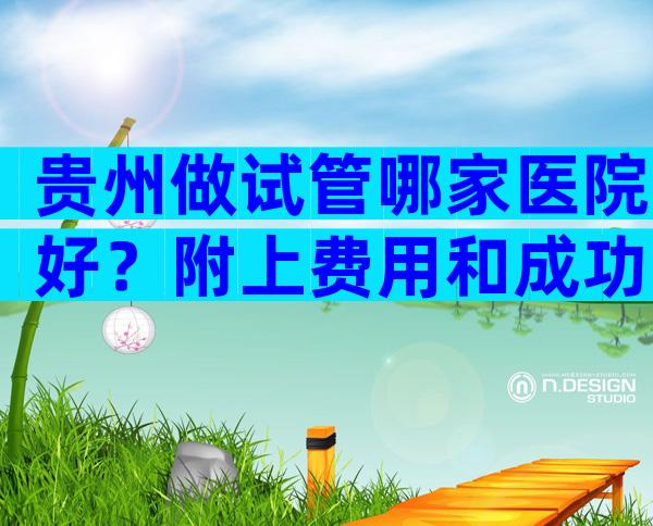 贵州做试管哪家医院好？附上费用和成功率